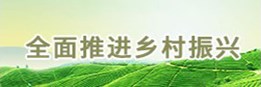 全面推進鄉村振興